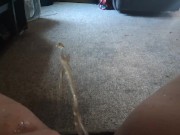 Morning pissing on my living room carpet