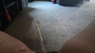 Morning pissing on my living room carpet