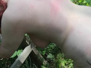 A day in the woods - whipping back