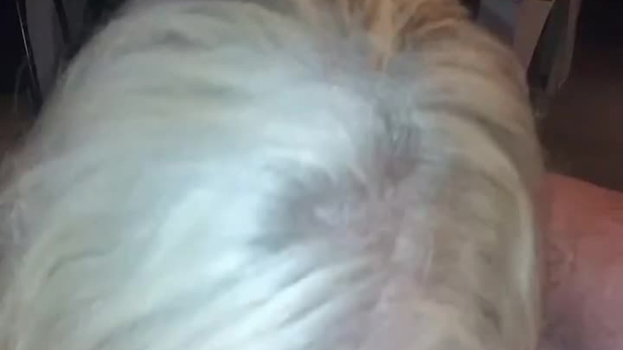 Hot wife gives the best deep throat blowjob ever - Free Sex Video - RedTube
