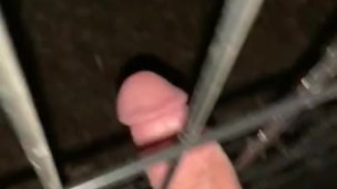 Having sex with a metal fence