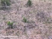 Fucked A Stuck Girl In The Forest And Got Caught While Cumming 1/16