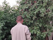 Jug of ripe cherries. 15/16