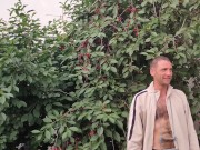 Jug of ripe cherries. 8/16