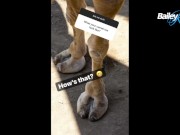 Bailey Rayne Instagram Q&A 8/16