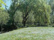 Teen lesbians kiss and lick pussy outdoors 1/16