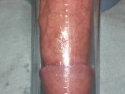 Penis pump