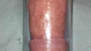 Penis pump