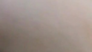 Compilation: best videos. Playing pussy