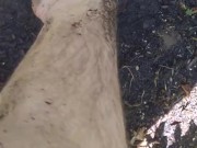 Cute Slutty Dirty Gardening CamGirl Plays Outside in Garden Cleans up Sprays Shorts Garden Hose 1/16