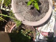 Cute Slutty Dirty Gardening CamGirl Plays Outside in Garden Cleans up Sprays Shorts Garden Hose 3/16