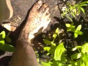 Cute Slutty Dirty Gardening CamGirl Plays Outside in Garden Cleans up Sprays Shorts Garden Hose 5/16