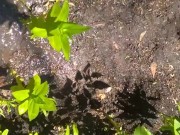 Cute Slutty Dirty Gardening CamGirl Plays Outside in Garden Cleans up Sprays Shorts Garden Hose 8/16