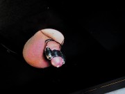 "Milking table" solo hands free cock head vibrator ~ quickly makes him squirt streams of cum
