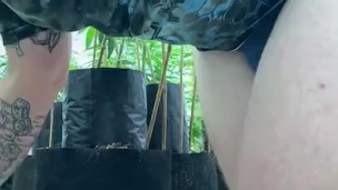 Pup playing in his garden w/ Tail ( full video is premium)