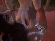 WILD LIFE - Lara Finds A New Friend 12/16