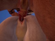 WILD LIFE - Lara Finds A New Friend 14/16