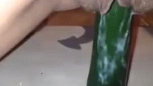 Zucchini Houdini