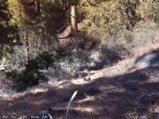 Being A Dik: Horny Lesbian College Girls-S2E1 1/16