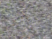 Fallout cosplay 10/16