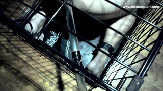 Dominatrix Mistress April - banheiro Slave