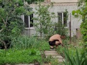 Overgrown path, this is not a problem at all. 11/16