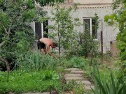 Overgrown path, this is not a problem at all. 13/16