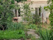 Overgrown path, this is not a problem at all.