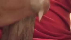 BBC(Cum with Me)Fat Nut Enjoy