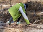 Rear View Outdoor Piss On A Log 3/16