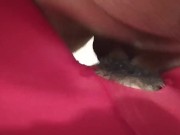 ТРАХНУЛ ОЧЕНЬ ВОЛОСАТУЮ КИСКУ И СПУСТИЛ МНОГО СПЕРМИ - Screenshot 13 of 16 - Real Sex