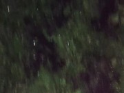 I almost forgot to water the garden.