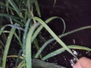 I almost forgot to water the garden. 10/16