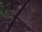 I almost forgot to water the garden. 11/16