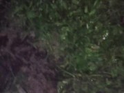 I almost forgot to water the garden. 12/16