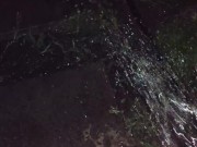 I almost forgot to water the garden. 14/16