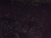 I almost forgot to water the garden. 16/16