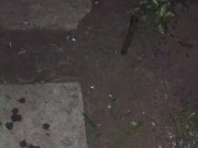 I almost forgot to water the garden. 2/16