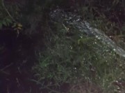 I almost forgot to water the garden. 3/16