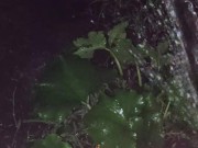 I almost forgot to water the garden. 5/16