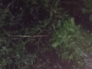 I almost forgot to water the garden. 6/16