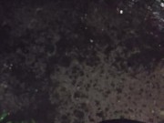 I almost forgot to water the garden. 9/16