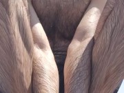 It was a good day for swimming in the river. 15/16