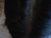 Girlfriend Babe Rides Her Boyfriend's Cock and Sucks Him Until He Comes!! 7/16