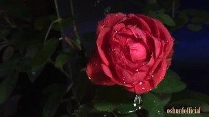 Cumming in the Rain