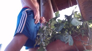 wanna be his daisy? he's watering his plants with his PISS