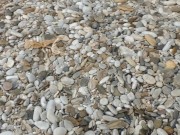 Exibitionist Hotwife Showcases her Pussy to our Friend at a Nudist Beach 1/16