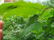No Makeup Sneaky Piss On The Trail 14/16