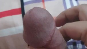 Jakol