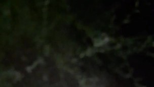 Public park piss and cum